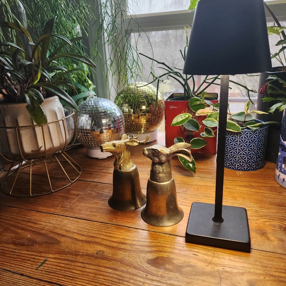 Meet your Posher, Katy